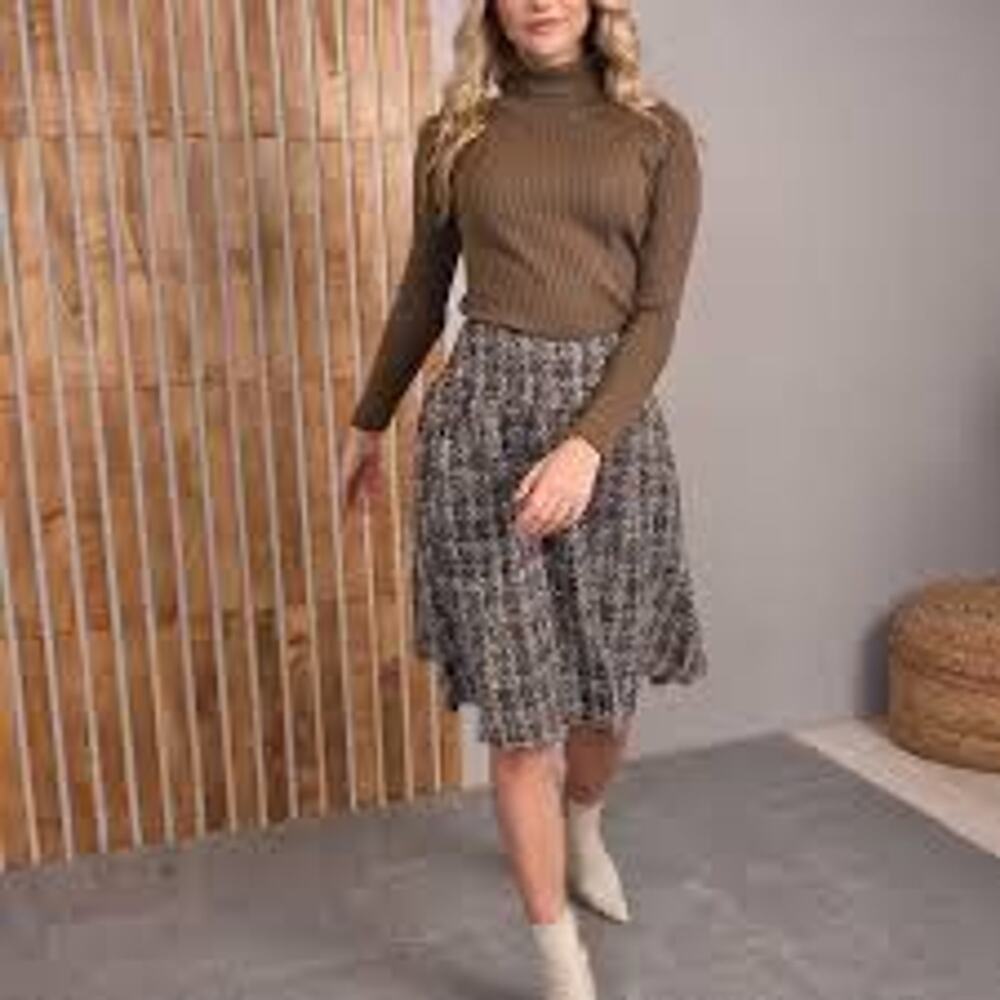 NWT $69 UDEL S Tweed Pleated Skirt